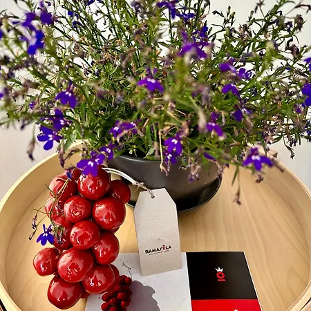 Διαμέρισμα Tangram *